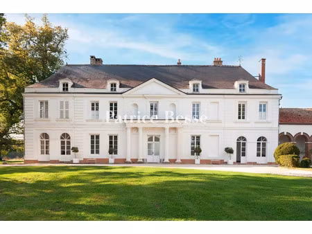 vente château 20 pièces 765 m² à auxerre (89000)  1 350 000 €