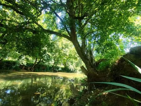 rare ! terrain d'exception en bord de rivière 3700 m²