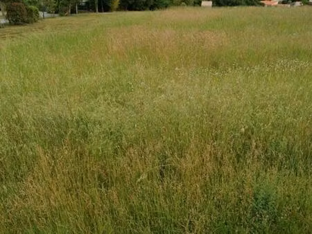 proche des commerces et écoles