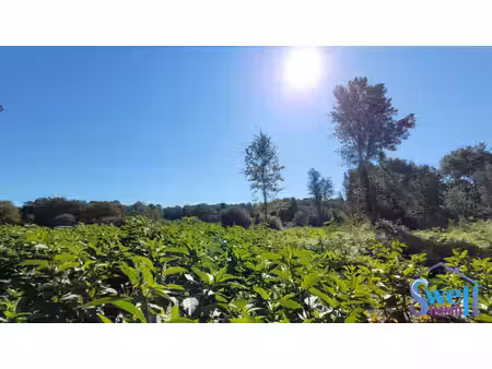 terrain à bâtir borné  raccordé et viabilisé de 1244m² au