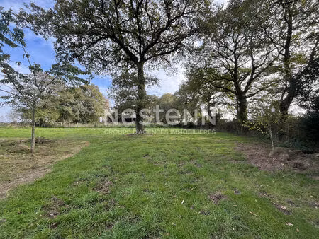 longère à rénover  elven  potentiel de 110 m² au sol sur 2500 m² de terrain.