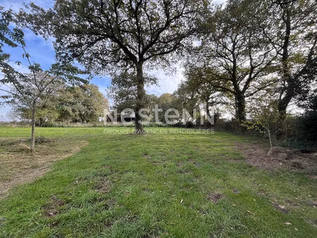 terrain d'environ 2500 m² en campagne d'elven avec longère à rénover