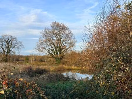 vente terrain à moncoutant (79320) : à vendre / 6045m² moncoutant