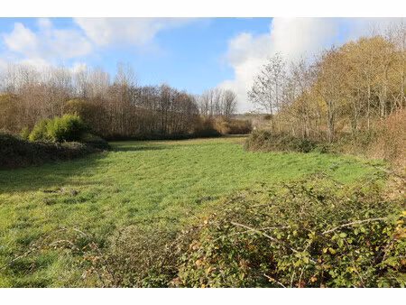 terrain à vendre à thonac (24290) - dordogne