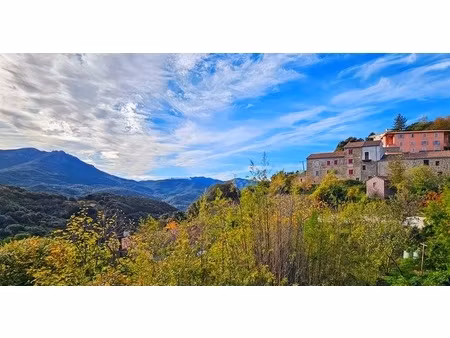 appartement à vendre 3 pièces levie (20)