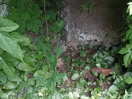 loue terrain nu 400m²