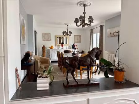 vente maison à pluvigner (56330) : à vendre / 336m² pluvigner