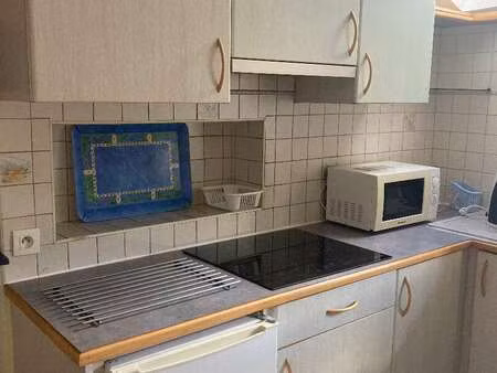location appartement 2 pièces meublé à auray (56400) : à louer 2 pièces meublé / 28m² aura