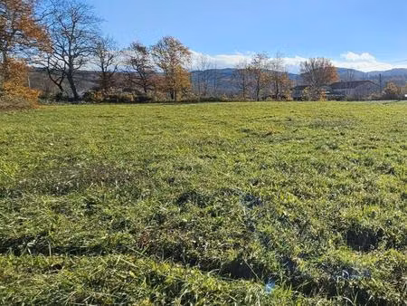 terrain