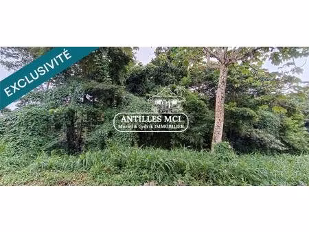 magnifique terrain constructible sur la commune de rivière salée