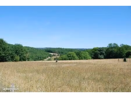 terrain 2 539 m² cales