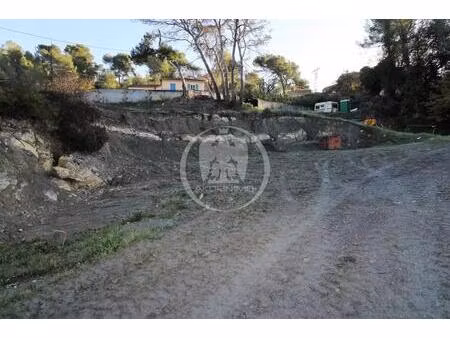 achat terrain 10 000m² contes 06390