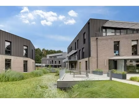 location local professionnel 375m²