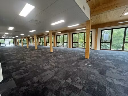 location local professionnel 568m²