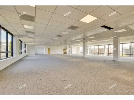 location local professionnel 535m²