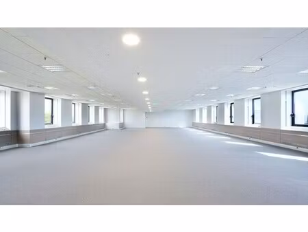 location local professionnel 2 874m²