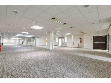 location local professionnel 1 084m²