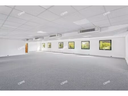 location local professionnel 633m²