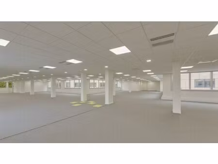 location local professionnel 1 808m²