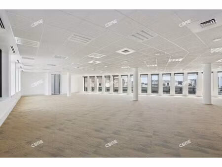 location local professionnel 220m²