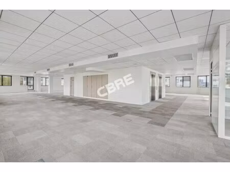 location local professionnel 1 138m²