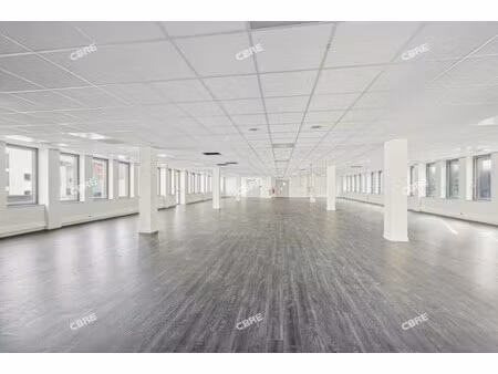 location local professionnel 610m²