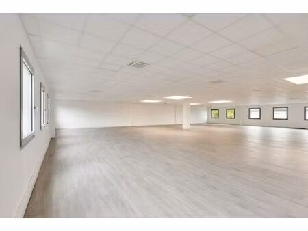 location local professionnel 3 519m²