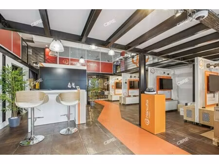 location local professionnel 251m²