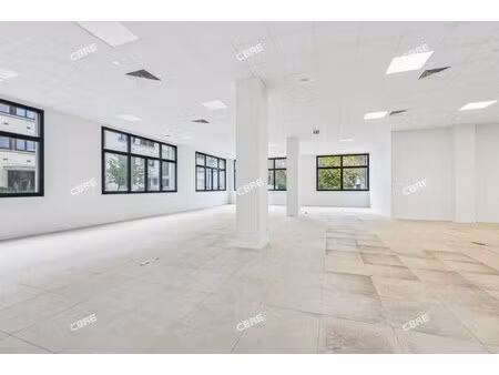 location local professionnel 378m²