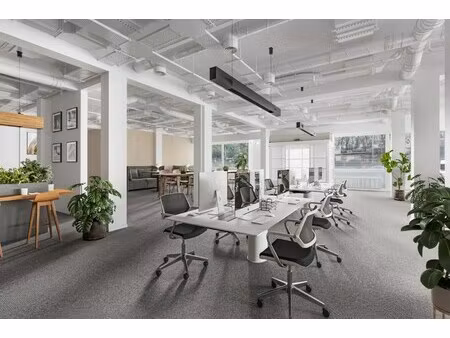 location local professionnel 423m²