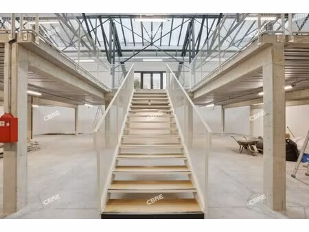 location local professionnel 623m²