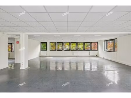 location local professionnel 218m²