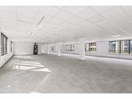 location local professionnel 2 033m²