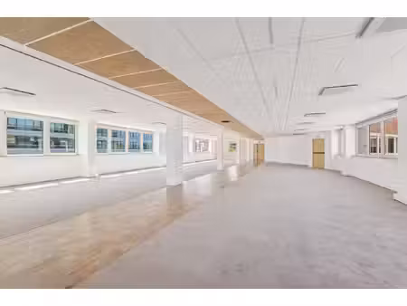 location local professionnel 2 454m²