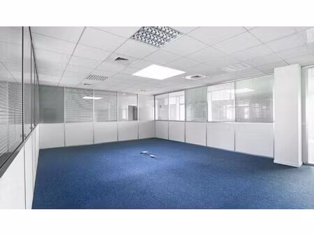 location local professionnel 1 029m²