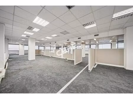 location local professionnel 540m²