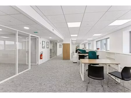 location local professionnel 217m²