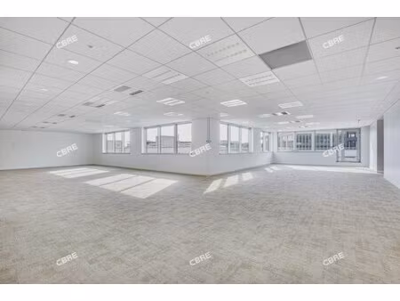 location local professionnel 391m²