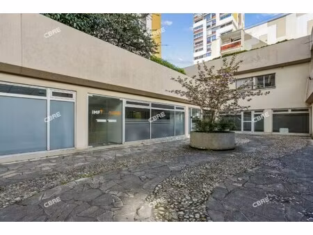 location local professionnel 250m²