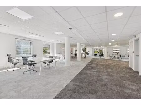 location local professionnel 5 195m²
