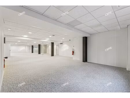 location local professionnel 749m²