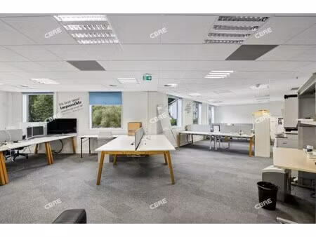 location local professionnel 292m²