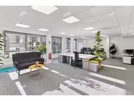 location local professionnel 262m²