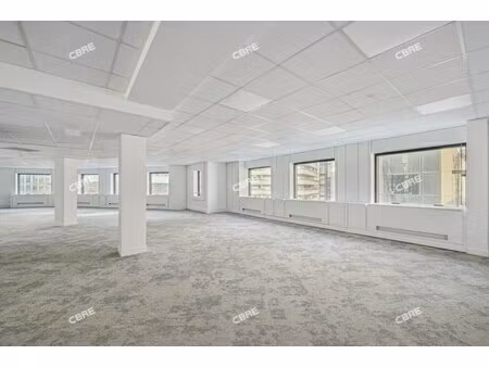 location local professionnel 503m²
