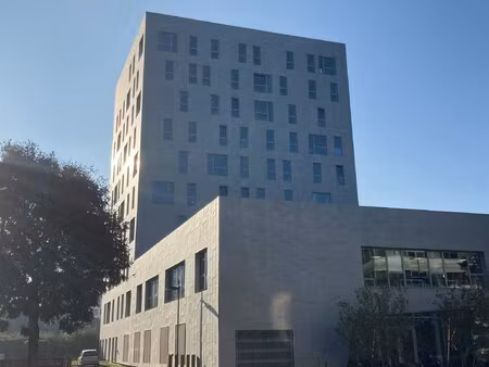 location local professionnel 356m²