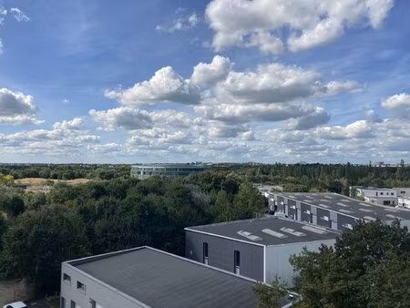 location local professionnel 149m²