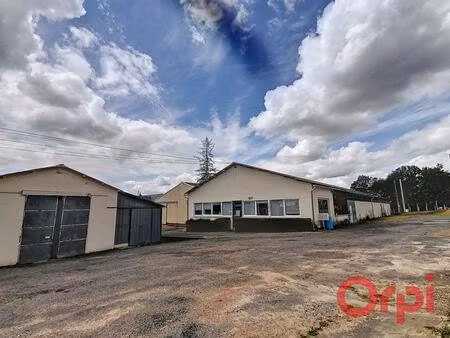 vente local industriel 680 m² neuville-sur-brenne (37110)