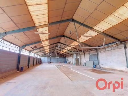 vente local industriel neuville-sur-brenne (37110)