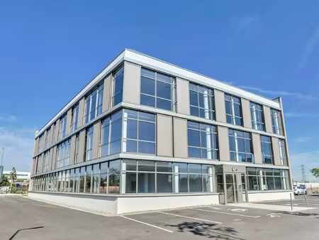 location local professionnel 295m²