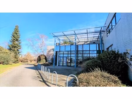 location local professionnel 251m²